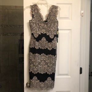 Mesh and lace Tahari dress